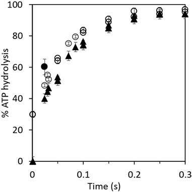 Beyond binding change: the molecular mechanism of ATP hydrolysis by F1-ATPase and its biochemical consequences